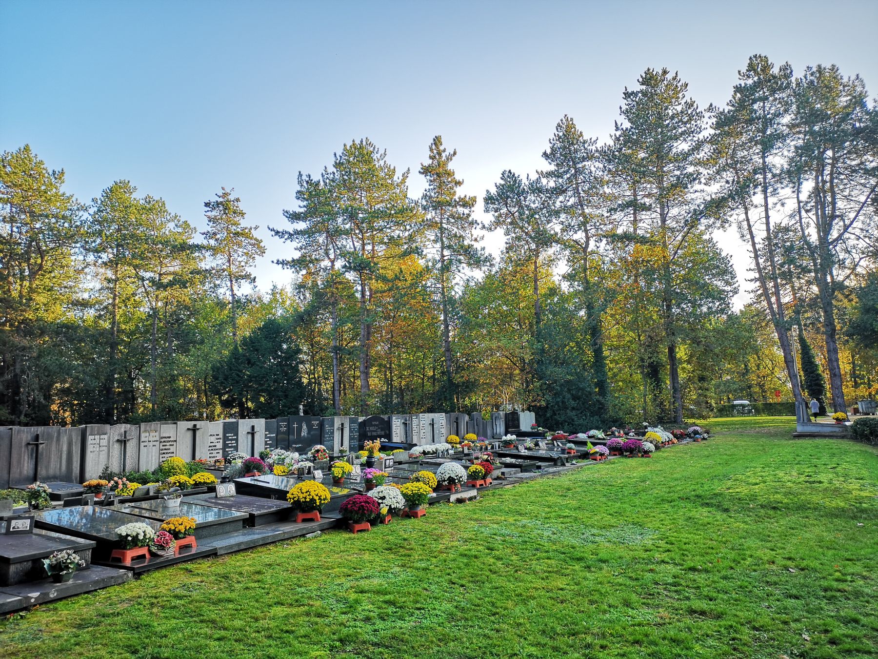 Grafmonumenten: getuigen van het verleden